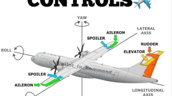 Pilot's Guide To Mastering Flight Controls